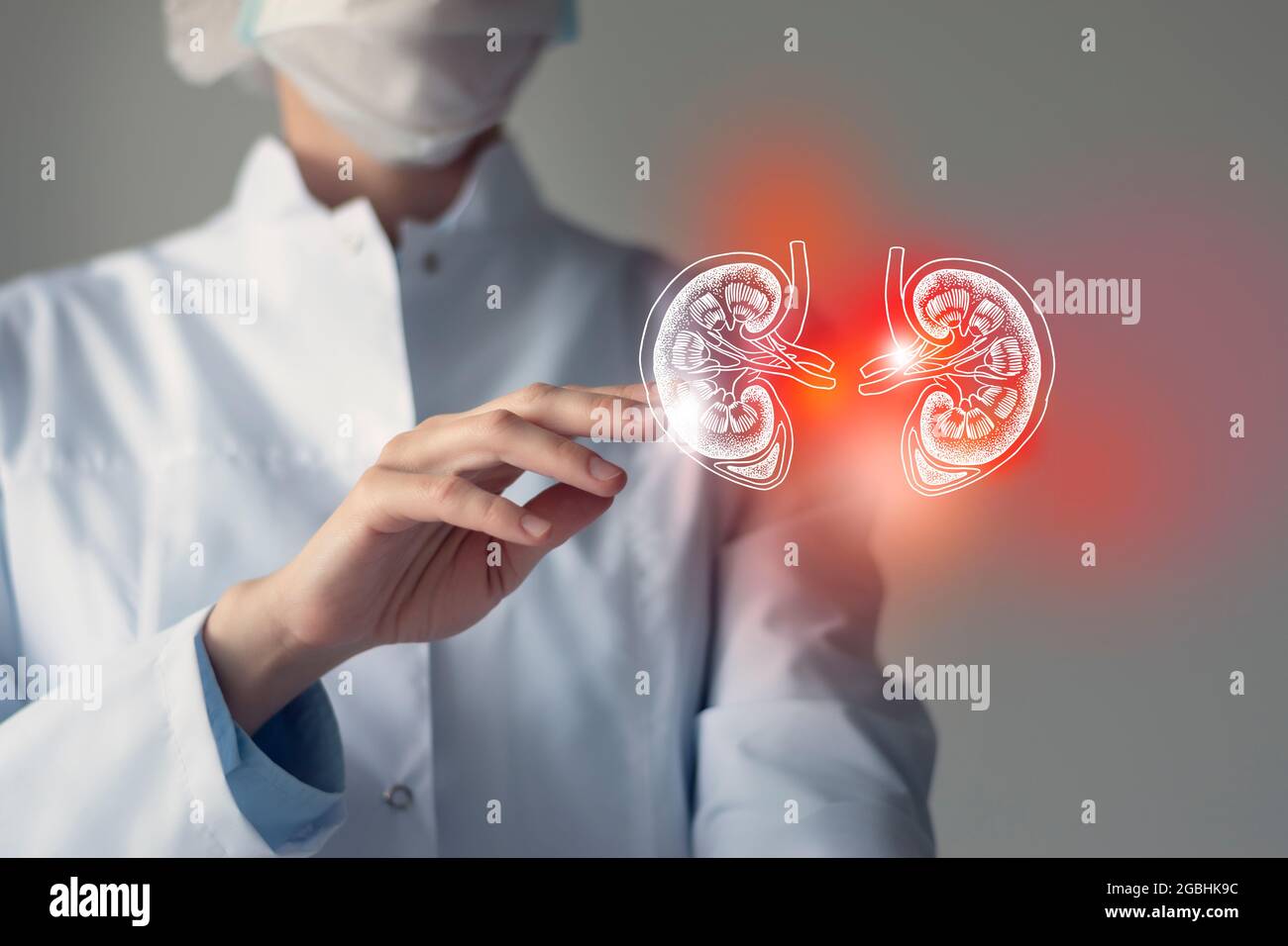 Ärztin berührt virtuelle Nieren in der Hand. Verschwommenes Foto, handgezeichnetes menschliches Organ, rot als Symbol der Krankheit hervorgehoben. Krankenhausdienst im Gesundheitswesen Stockfoto