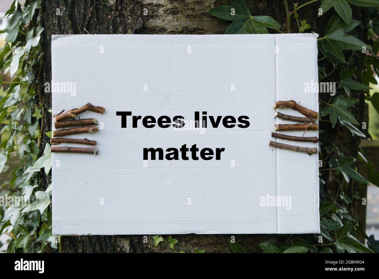 Bäume leben Materie Zeichen von einem Baum gehalten, mit Zweigen für Hände. Umweltschutzkonzept mit Kopierplatz Stockfoto