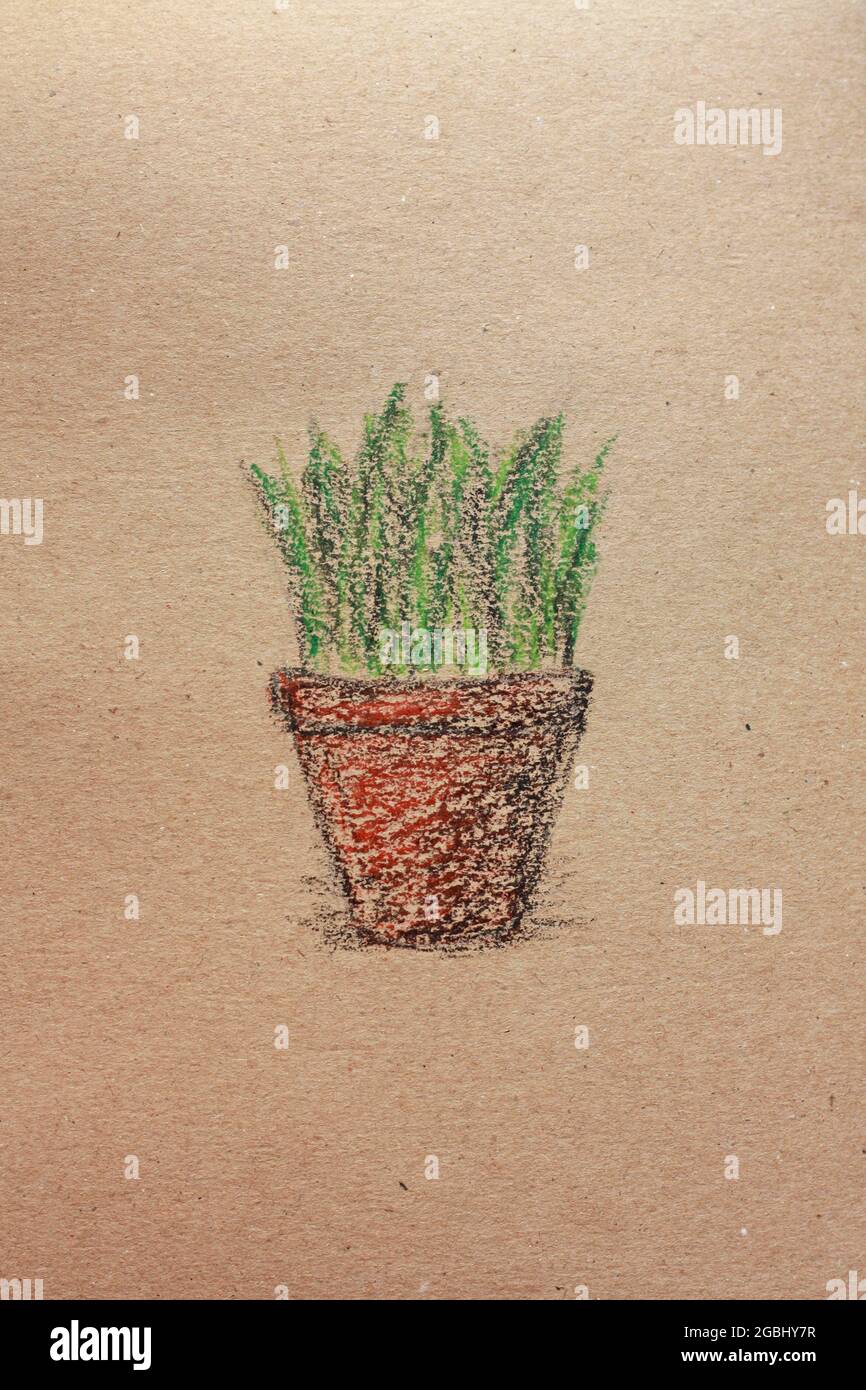Skizze eines Topfes mit einer Blume auf altem Papier. Hochwertige Fotos Stockfoto