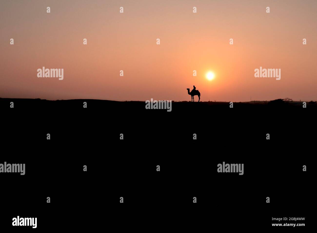 Silhouette der Wüste mit Kamel Stockfoto