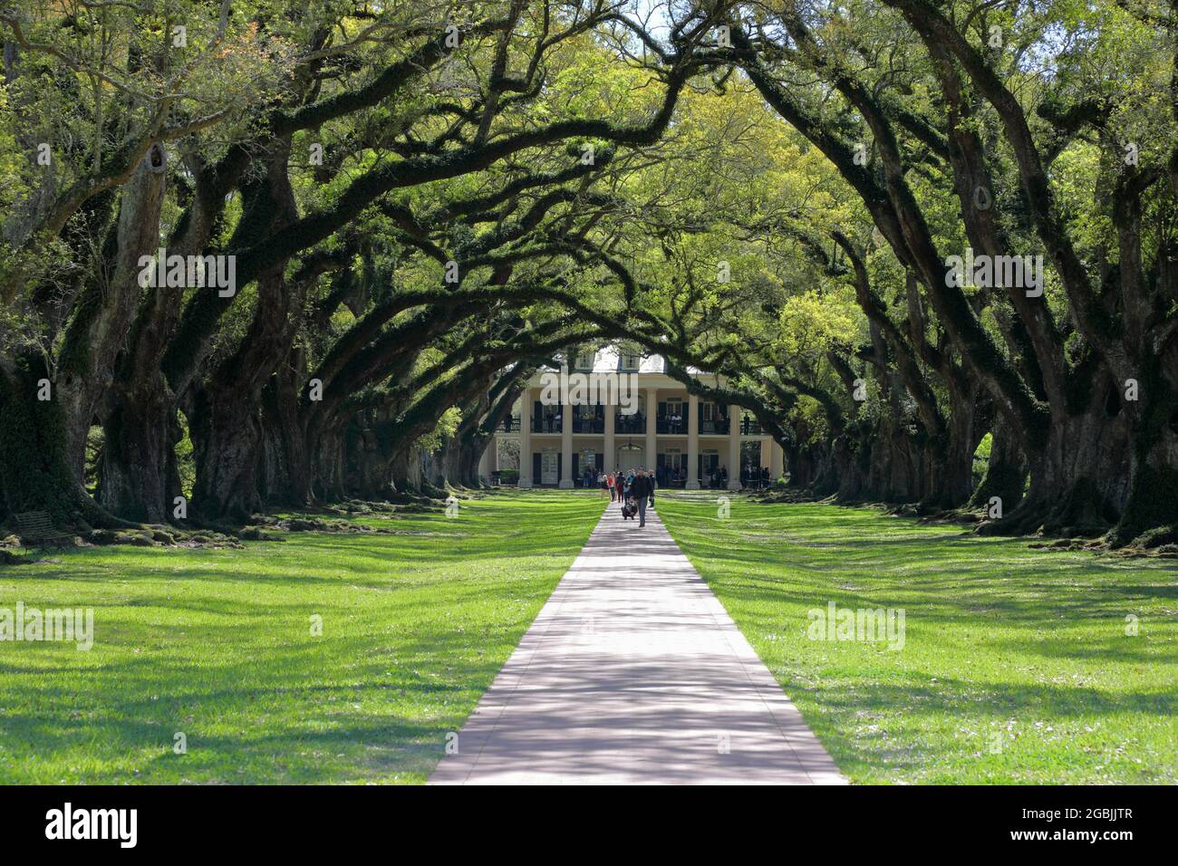 Geographie / Reisen, USA, Louisiana, Vacherie, Oak Alley Plantation (1837-39) River, Vacherie, ZUSÄTZLICHE-RIGHTS-CLEARANCE-INFO-NOT-AVAILABLE Stockfoto