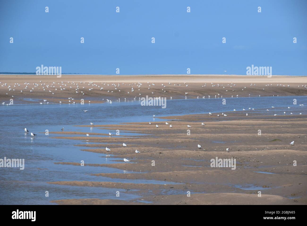 Die Gezeiten sind an der Küste der Mersey-Mündung und zeigen freiliegende Sandbänke, Seevögel, den Fluss-Alt-Nebenfluss unter blauem Himmel und das Sonnenlicht im Sommer. Stockfoto