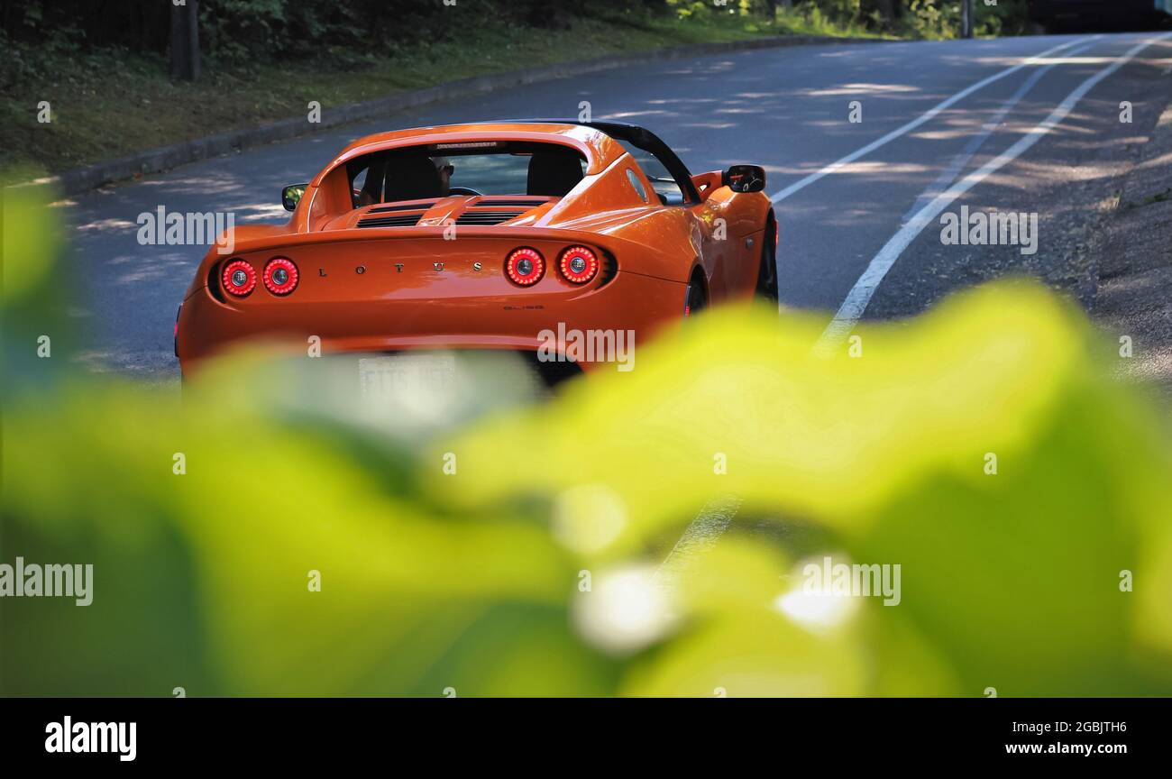 Auto, das im Park wegfährt Stockfoto
