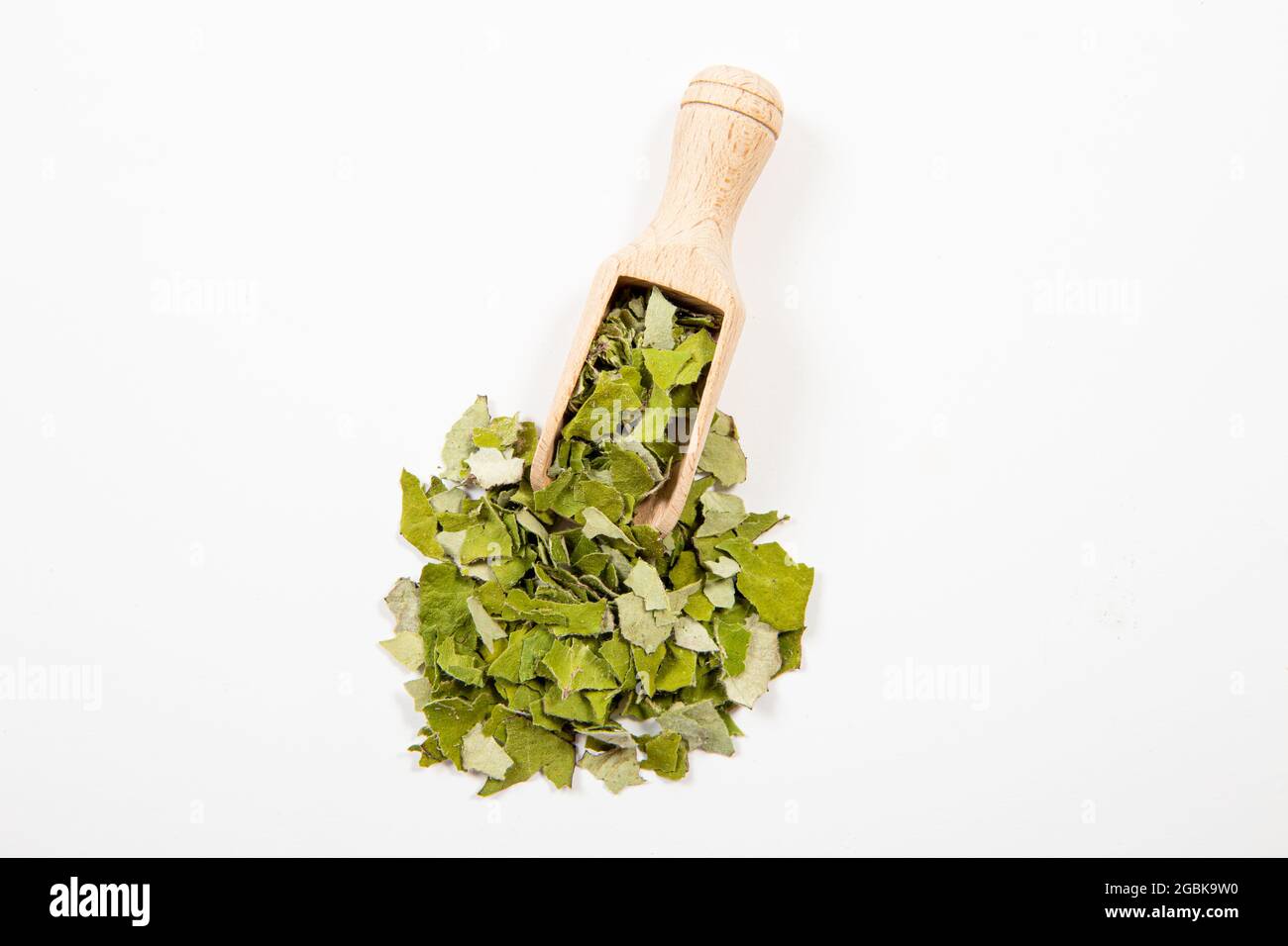 Trockene Tussilago fara ( Hustenkraut, Taschestraße, farara) Stücke allgemein bekannt als Coltsfoot geglaubt, um natürliche Hustenmittel auf Holzlöffel weiß sein. Stockfoto
