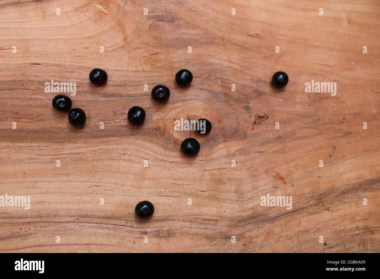 Reife, wilde, schwarze Kirschen auf einer Scheibe aus wildem, schwarzem Kirschholz Stockfoto