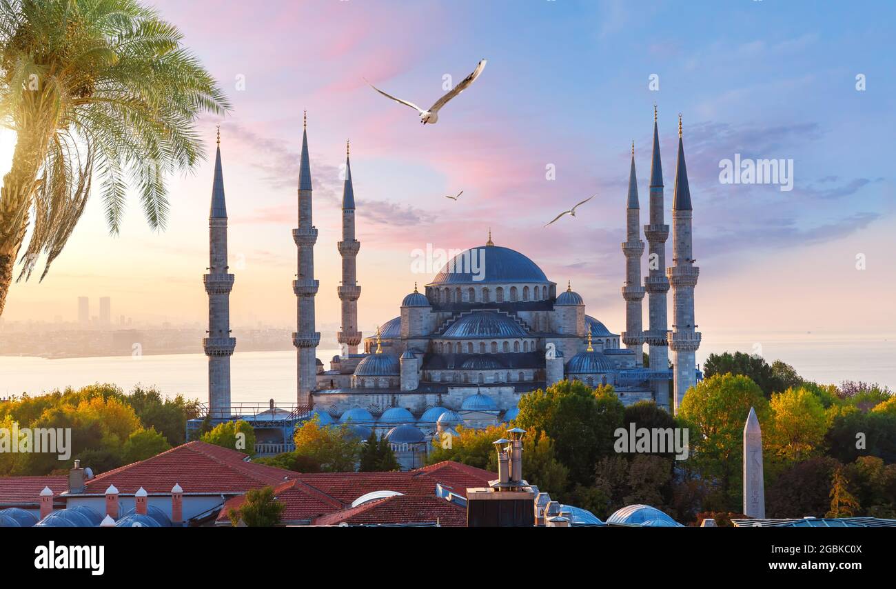 Sultanahmet oder die Blaue Moschee bei Sonnenuntergang, Blick auf Istanbul, Türkei. Stockfoto