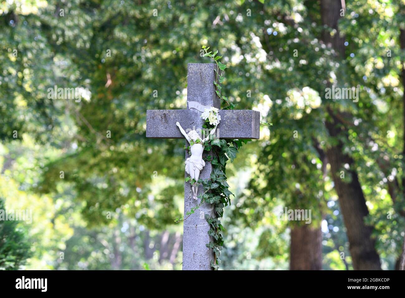 Wien, Österreich. Steinkreuz mit Efeu bewachsen auf dem Wiener Zentralfriedhof Stockfoto