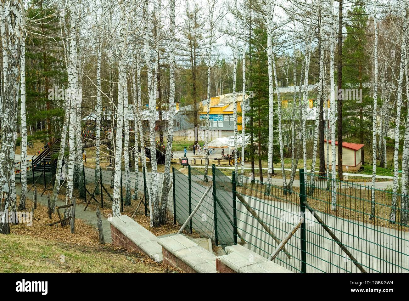 Republik Baschkortostan, Abzakovo - 08.05.2021: Erholung im Wald. Hohe Bäume im Sanatorium. Erholungsgebiet im Freien. Stockfoto