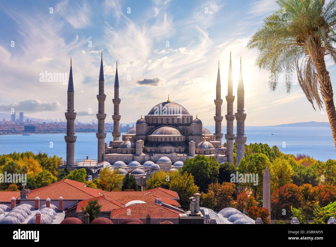 Blick auf die Blaue Moschee und Dächer des Sultanahmet-Viertels, Fatih, Istanbul, Türkei Stockfoto