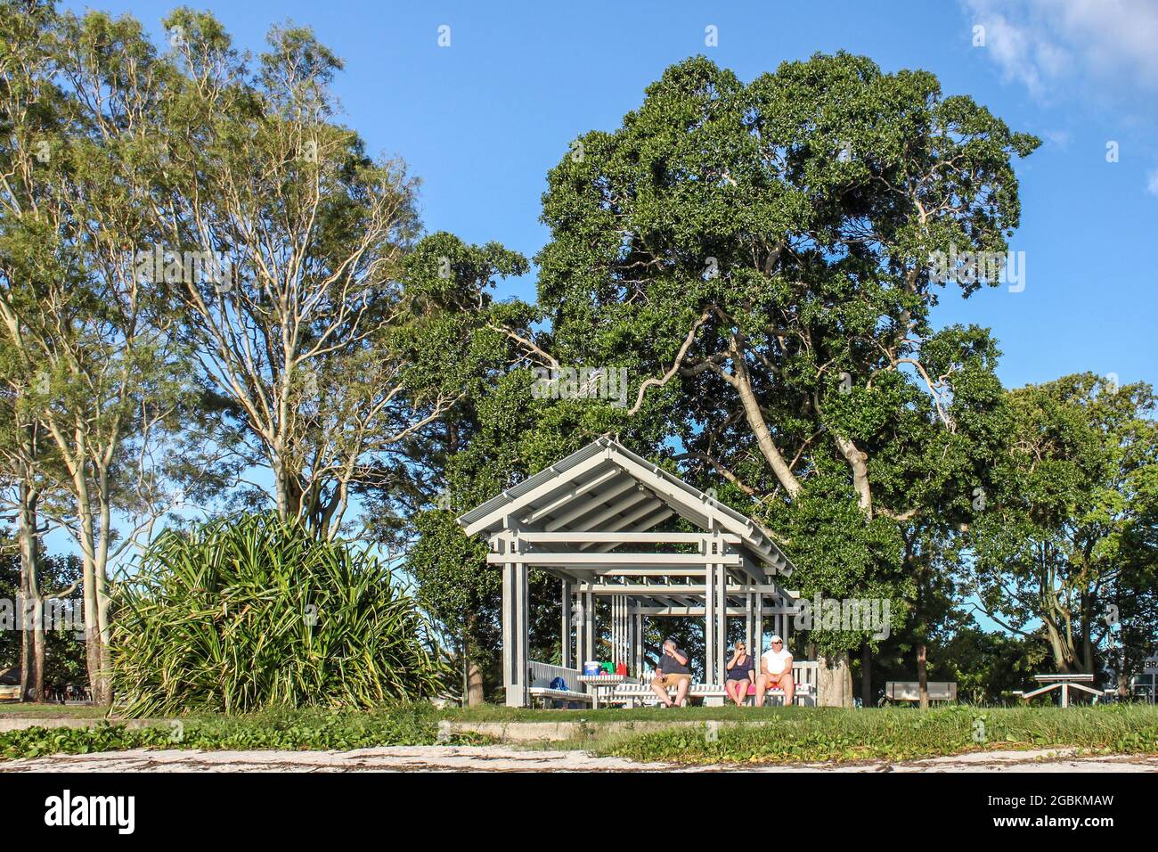 02-242-2015 Bribie Island Queensland Australien - Touristen sitzen im Park Schutz unter riesigen Bäumen genießen den Tag an der Sunset Coast an sonnigen Tag mit b Stockfoto