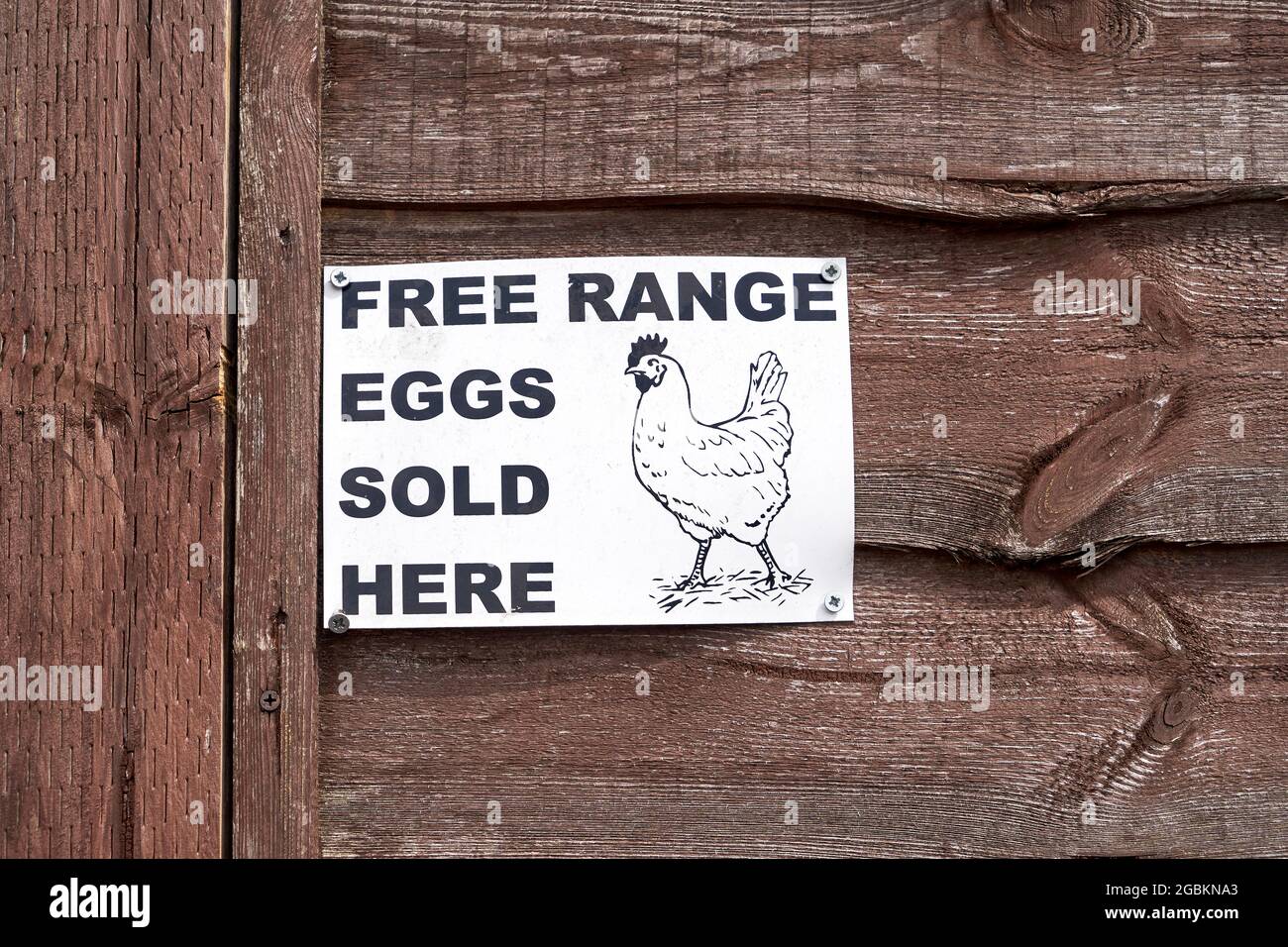 Freilandeier, die hier verkauft werden, sind ein Schild mit einer Abbildung eines Hühnchens Stockfoto
