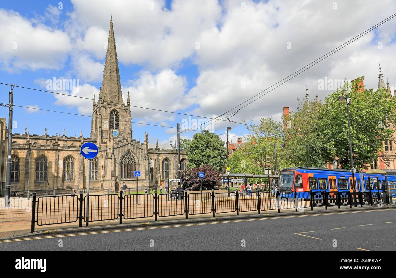 Sheffield Cathedral auch bekannt als Cathedral Church of St Peter and St Paul, Sheffield, South Yorkshire, England, Großbritannien Stockfoto