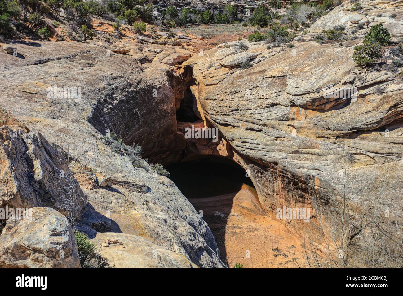 Die drei prachtvollen Brücken, die im White Canyon vom Wasser geformt wurden, wurden 1908 von Präsident Theodore Roosevelt zum Nationaldenkmal erklärt. Stockfoto