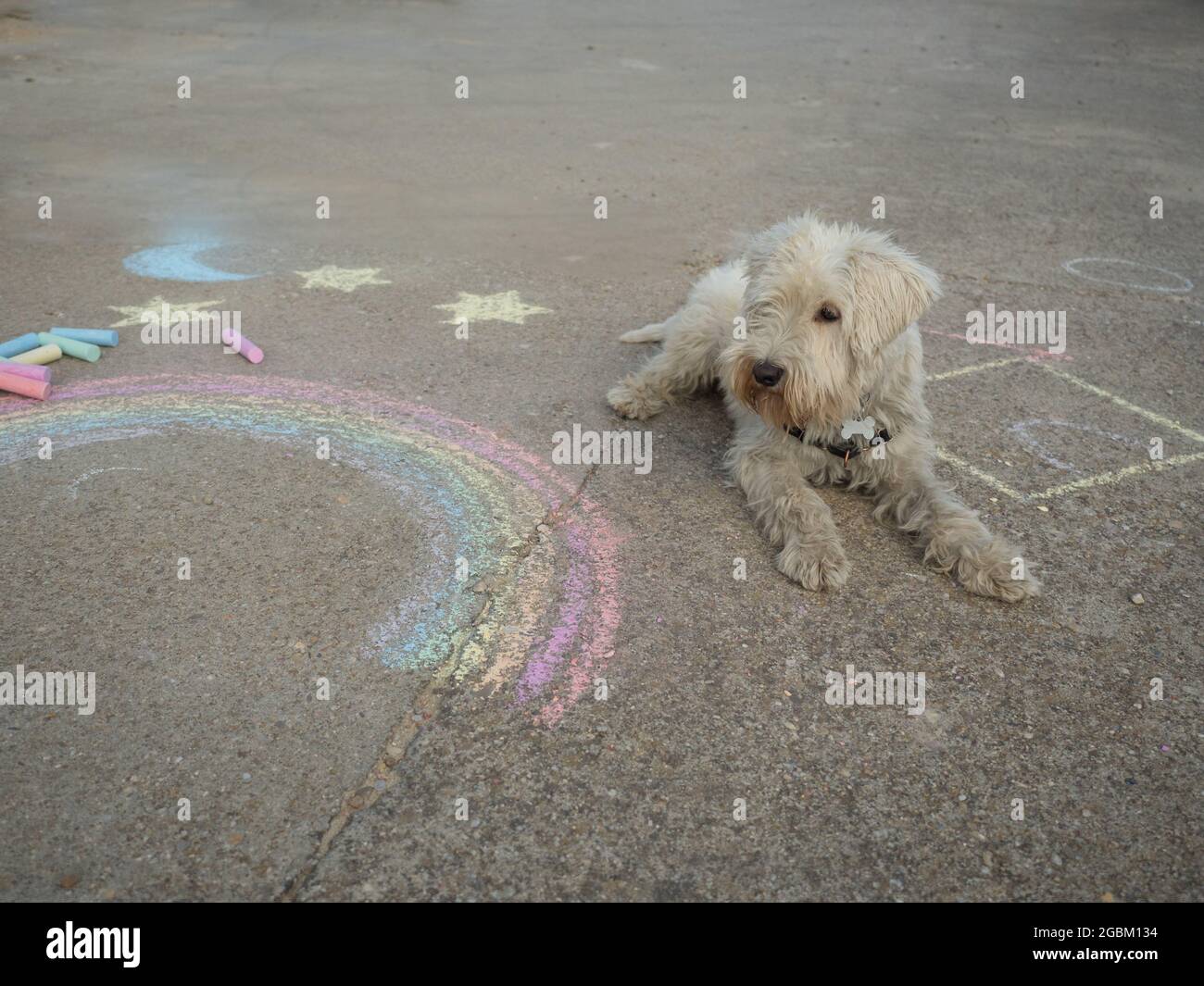 Spielplatzgeräte für hunde -Fotos und -Bildmaterial in hoher Auflösung –  Alamy