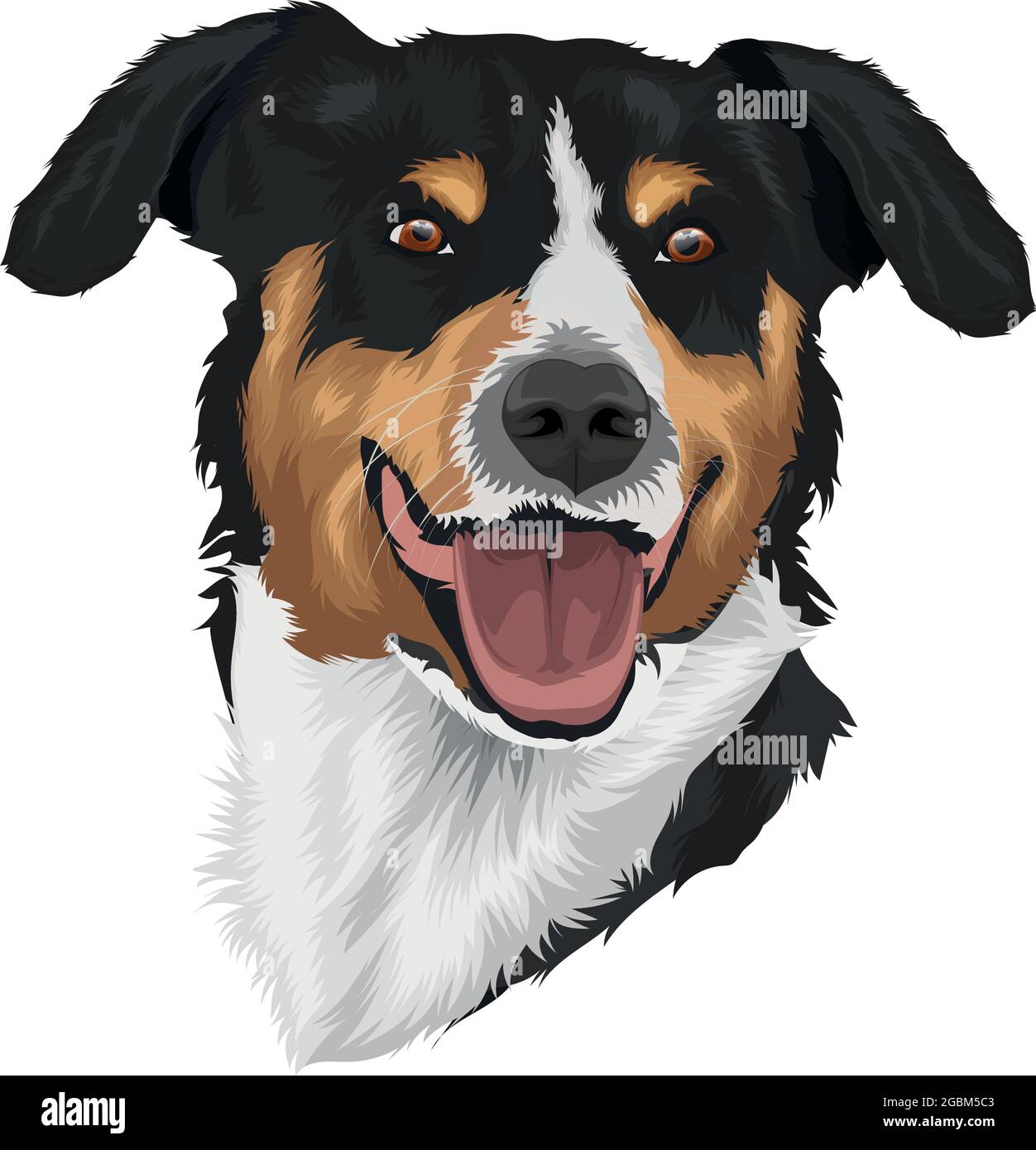 Hund digitale Kunst Illustration isoliert auf weiß - appenzeller sennenhund Stock Vektor