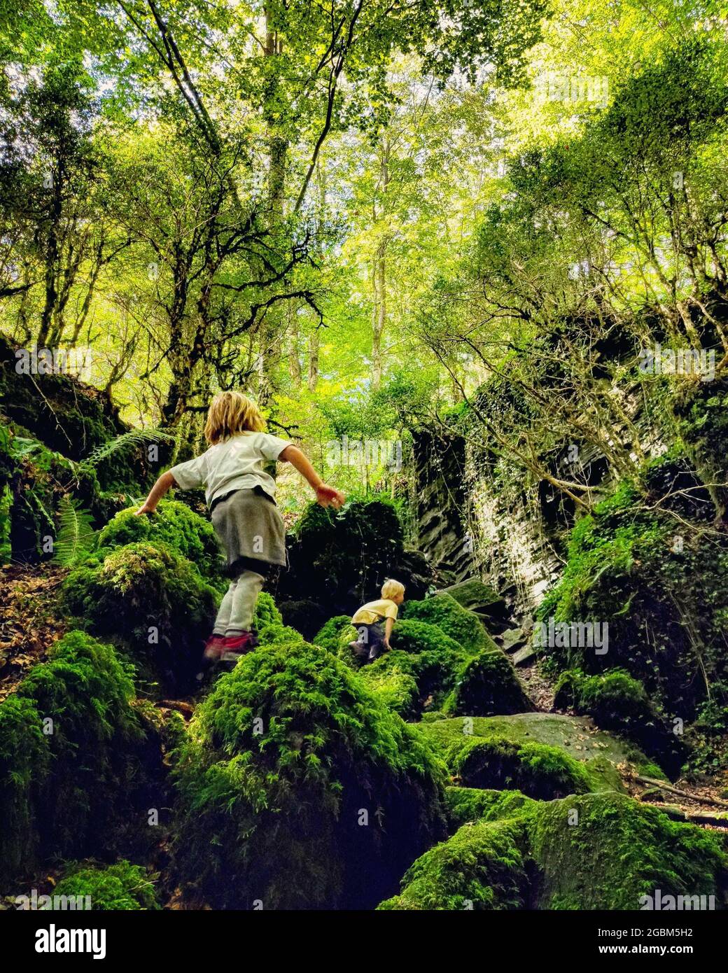 Blonde Kinder wandern im Wald Stockfoto