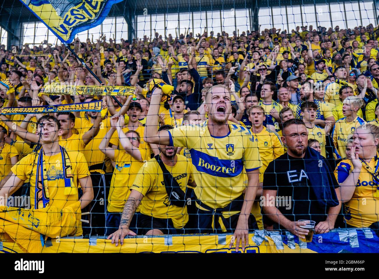 Vejle, Dänemark. August 2021. Fußballfans von Broendby WERDEN IM ...