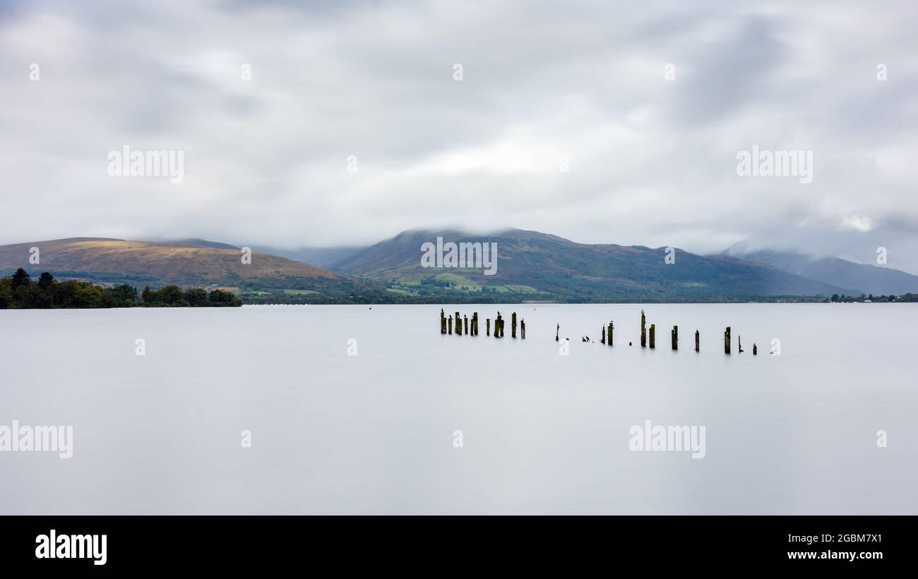 Kormorane Zander auf Beiträge, die verfallenden Überreste einer Struktur im Loch Lomond See bei Balloch in der Nähe von Glasgow, mit den Ausläufern der Schottischen Highlan Stockfoto