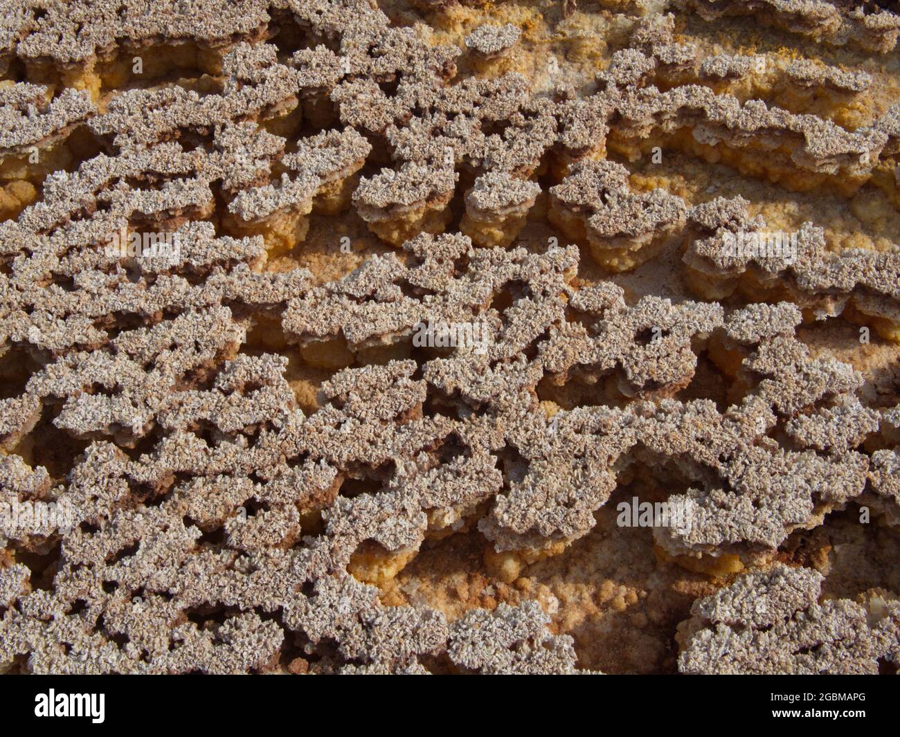 Nahaufnahme von Gesteinsmustern, die eine Mars-ähnliche Landschaft im Hintergrund der Danakil-Depression in Äthiopien bilden. Stockfoto