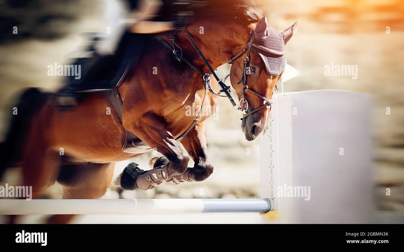Das rote Pferd überwindet ein Hindernis. Reitsport, Springen. Überwinden Sie Hindernisse. Dressur der Pferde in der Arena. Springprüfung. Stockfoto