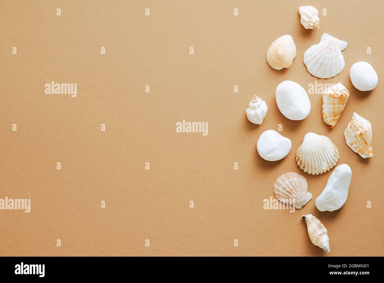 Muscheln auf sandfarbenem Hintergrund. Flach liegend, Draufsicht. Sommer, Urlaubskonzept Stockfoto
