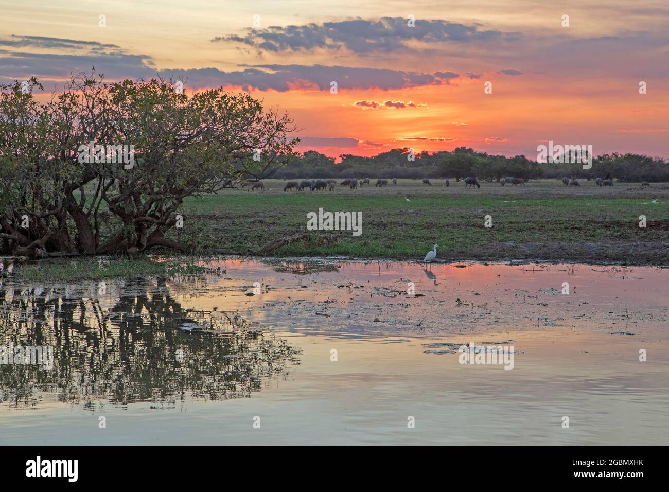 Sonnenuntergang am Yellow Water, Kakadu National Park Stockfoto