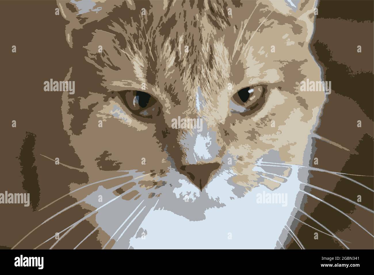 Vektorbild einer Katze aus der Nähe. Stock Vektor
