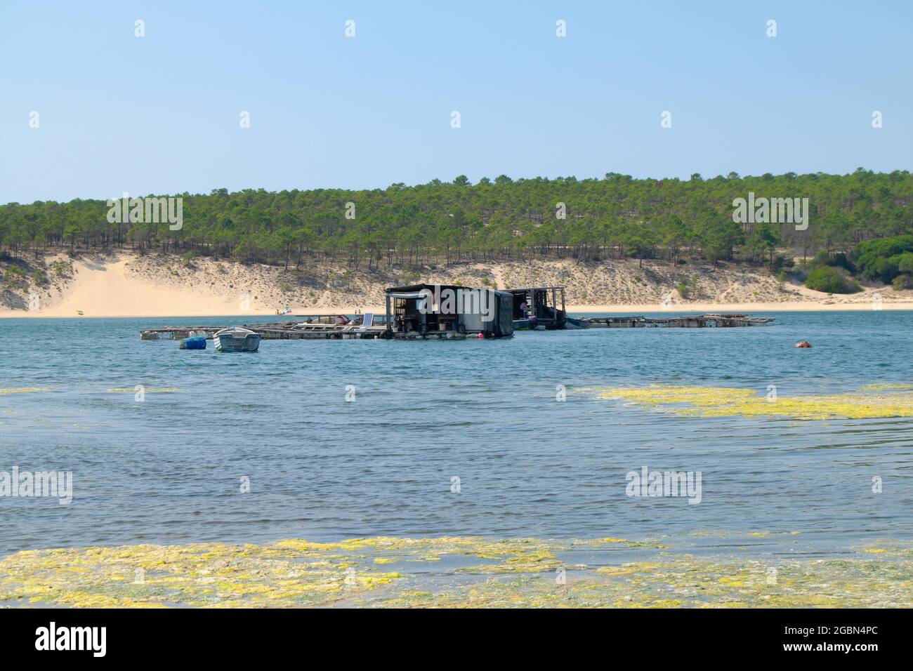 Lago de Albufeira (Lagune von Albufeira) in der Gemeinde Setúbal in Portugal. Fischereiaktivitäten in Portugal. Stockfoto