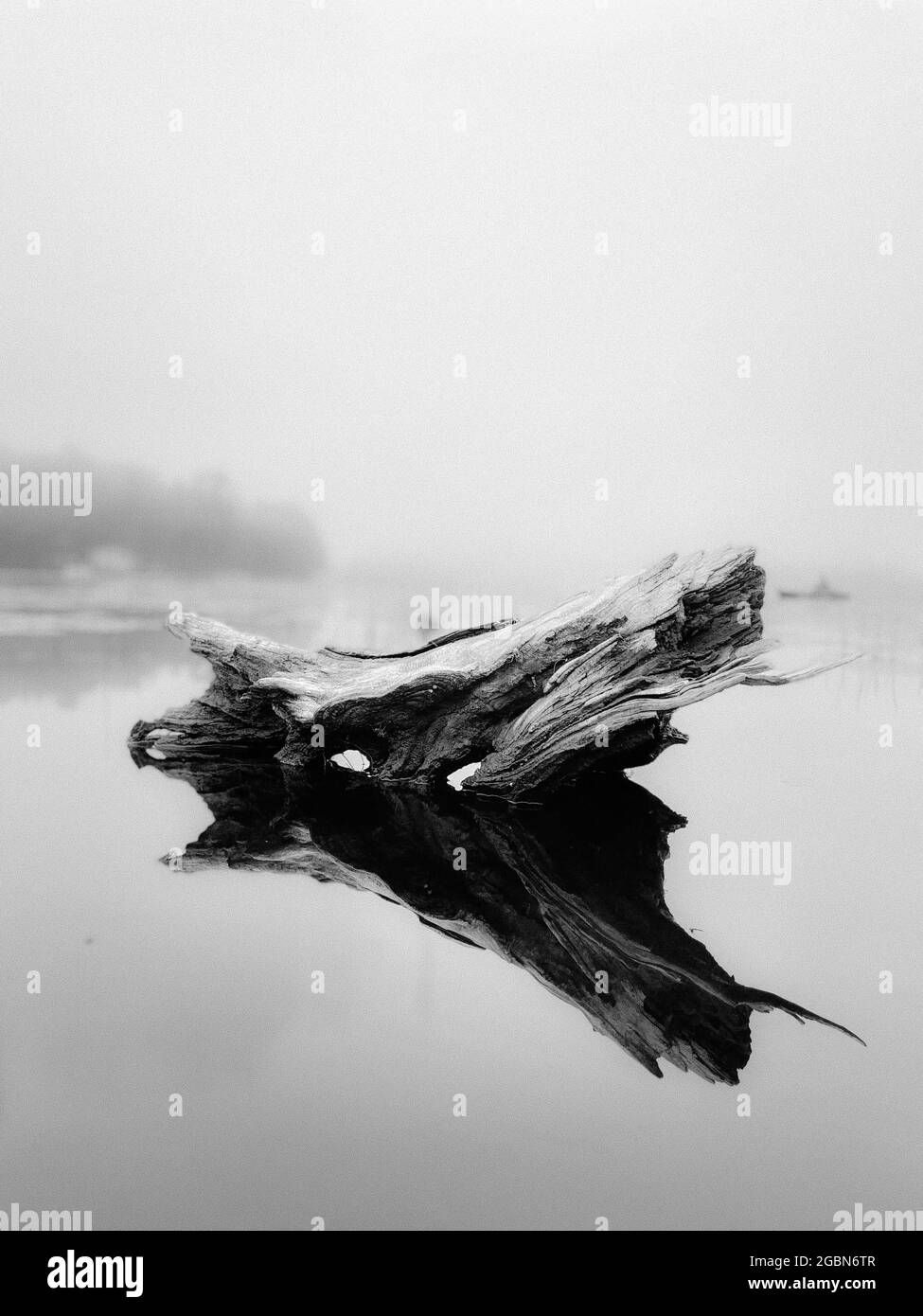 Schwarz und Weiß Log Lake Reflexion in Nebel Stockfoto