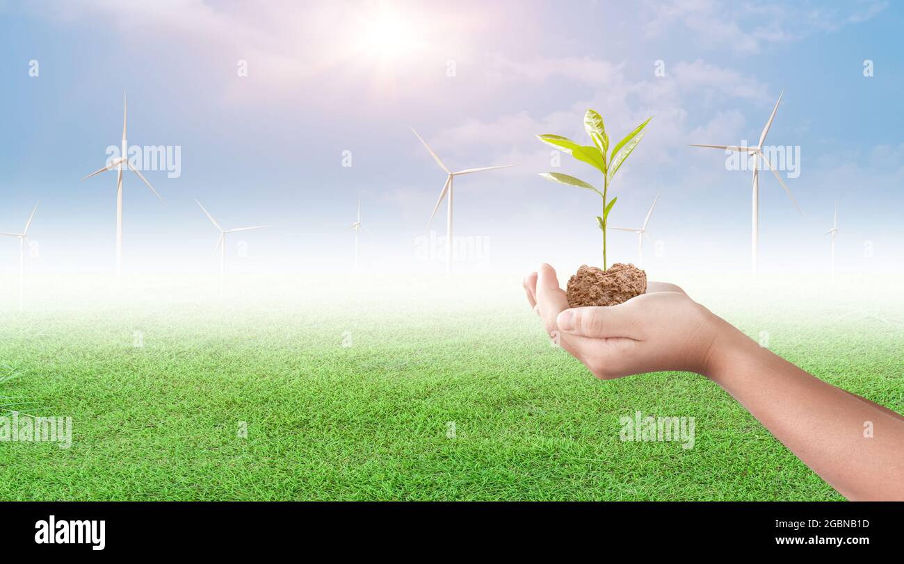 Hand hält junge Pflanze auf Windturbine und blauer Himmel Hintergrund. Beginn eines neuen Lebens. Eco Earth Day Konzept. Stockfoto