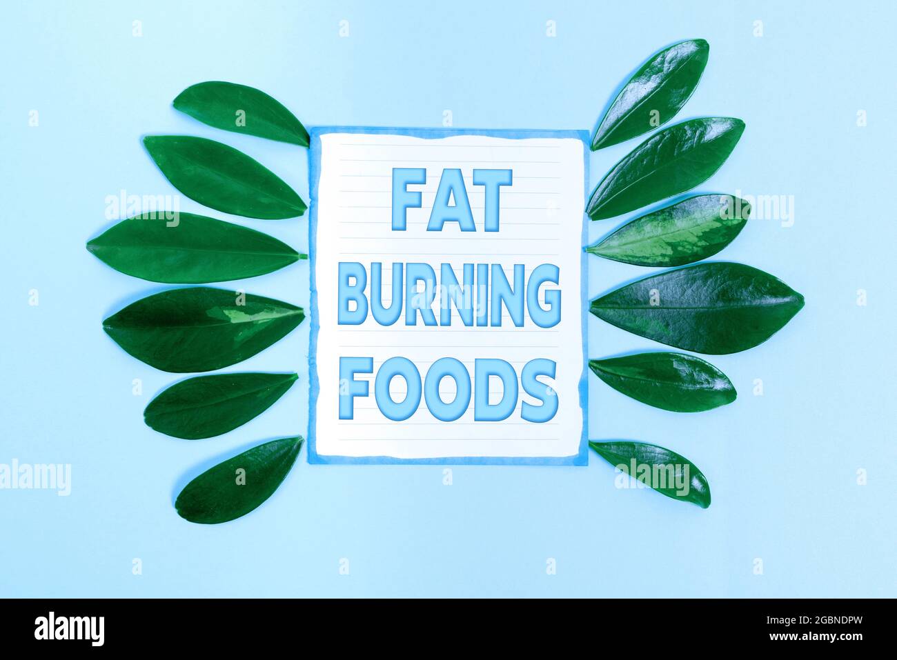 Schild mit fettverbrennenden Lebensmitteln. Wort geschrieben auf produzieren Fettabbau durch die Stimulierung des Stoffwechsels zur Appetitzügler Natur Thema Präsentation Ideen und Stockfoto