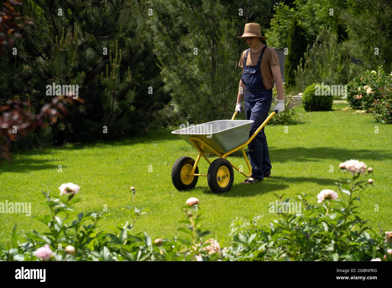 Ein junger Mann mit Händen in Handschuhen trägt einen metallenen Gartenwagen Stockfoto