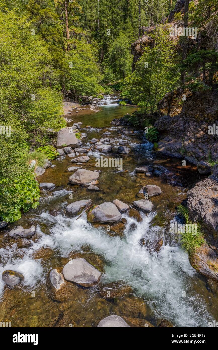 Deer Creek entlang des Deer Creek Highway, Lassen National Forest, Tehama County, Kalifornien Stockfoto