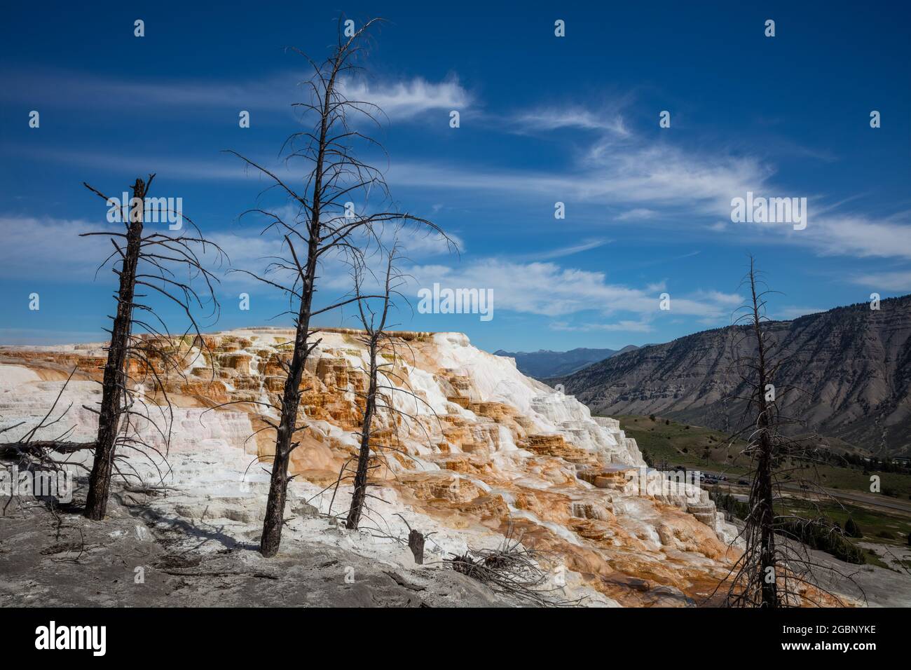 Canary Spring in the Upper Mammoth Terraces, Yellowstone National Park, Wyoming Stockfoto