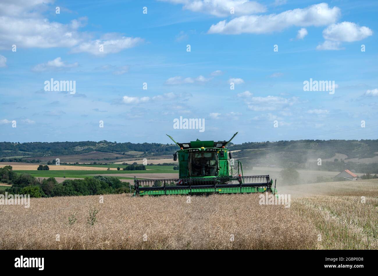 Querfurt, Deutschland. Juli 2021. Ein Mähdrescher erntet Raps auf einem Feld. Starke Hitze Mitte Juni, an manchen Stellen heftiger Regen – das Erntejahr 2021 ist eine Herausforderung für die Bauern in Sachsen-Anhalt. Quelle: Hendrik Schmidt/dpa-Zentralbild/dpa/Alamy Live News Stockfoto