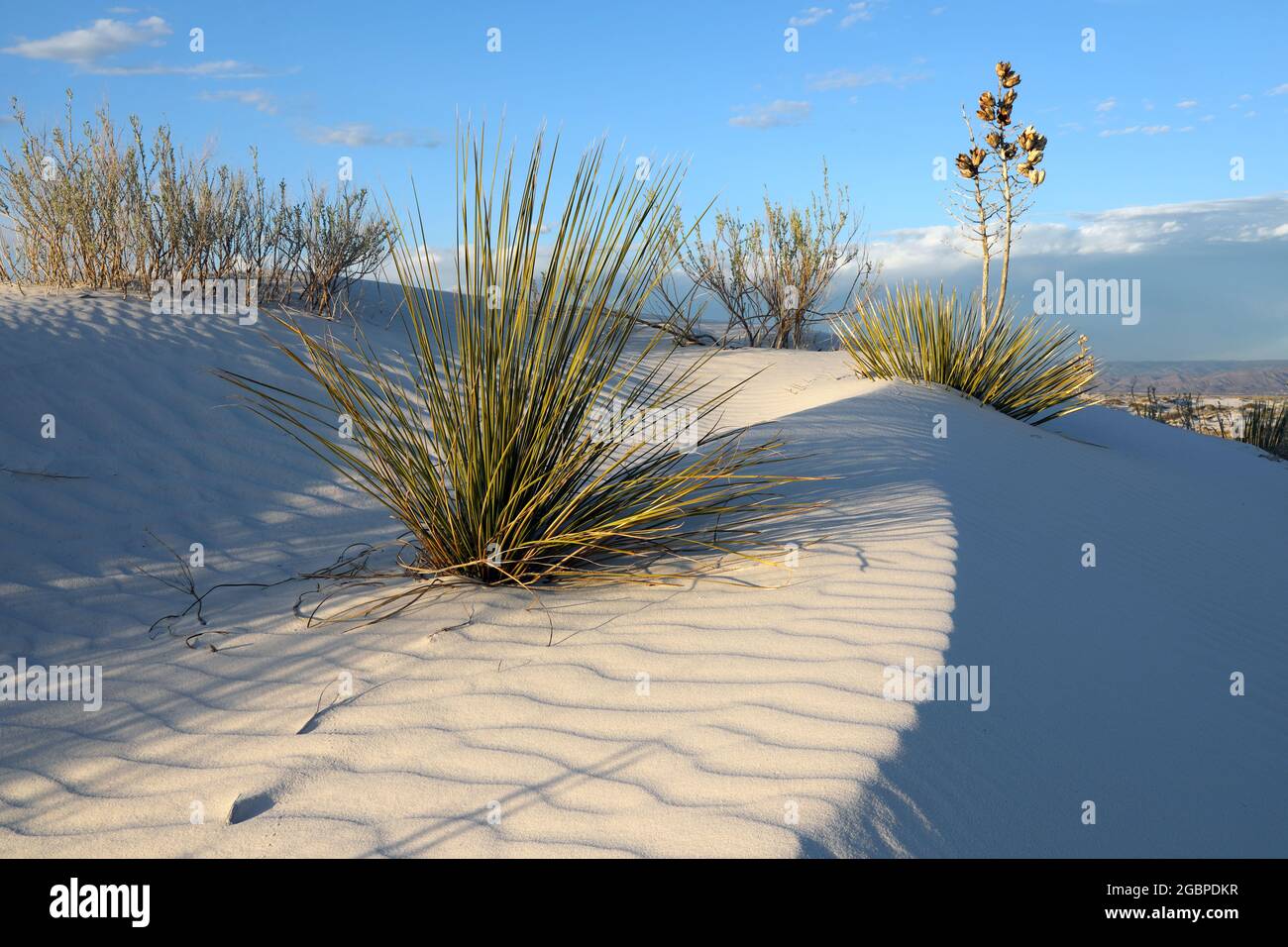Geographie / Reisen, USA, New Mexico, Alamogordo, Picknickplatz Spanische Dolche Alamogordo, New Mexico, ZUSÄTZLICHE-RIGHTS-CLEARANCE-INFO-NOT-AVAILABLE Stockfoto