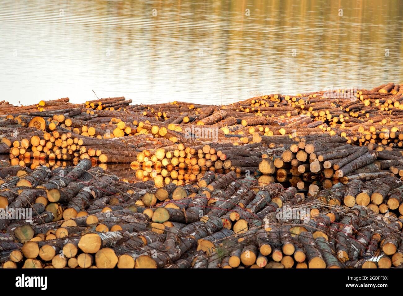 Auf dem Fluss in Finnland schwimmende Holzstapel Stockfoto