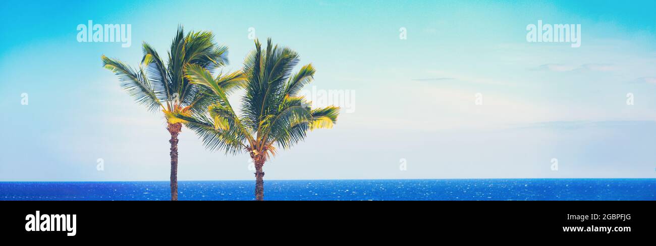 Strand Reise Sommer Banner Hintergrund des blauen Ozeans und Palmen Panorama, tropische Karibik Reiseziel. Horizontale Kopfzeile des Kopierbereichs Stockfoto
