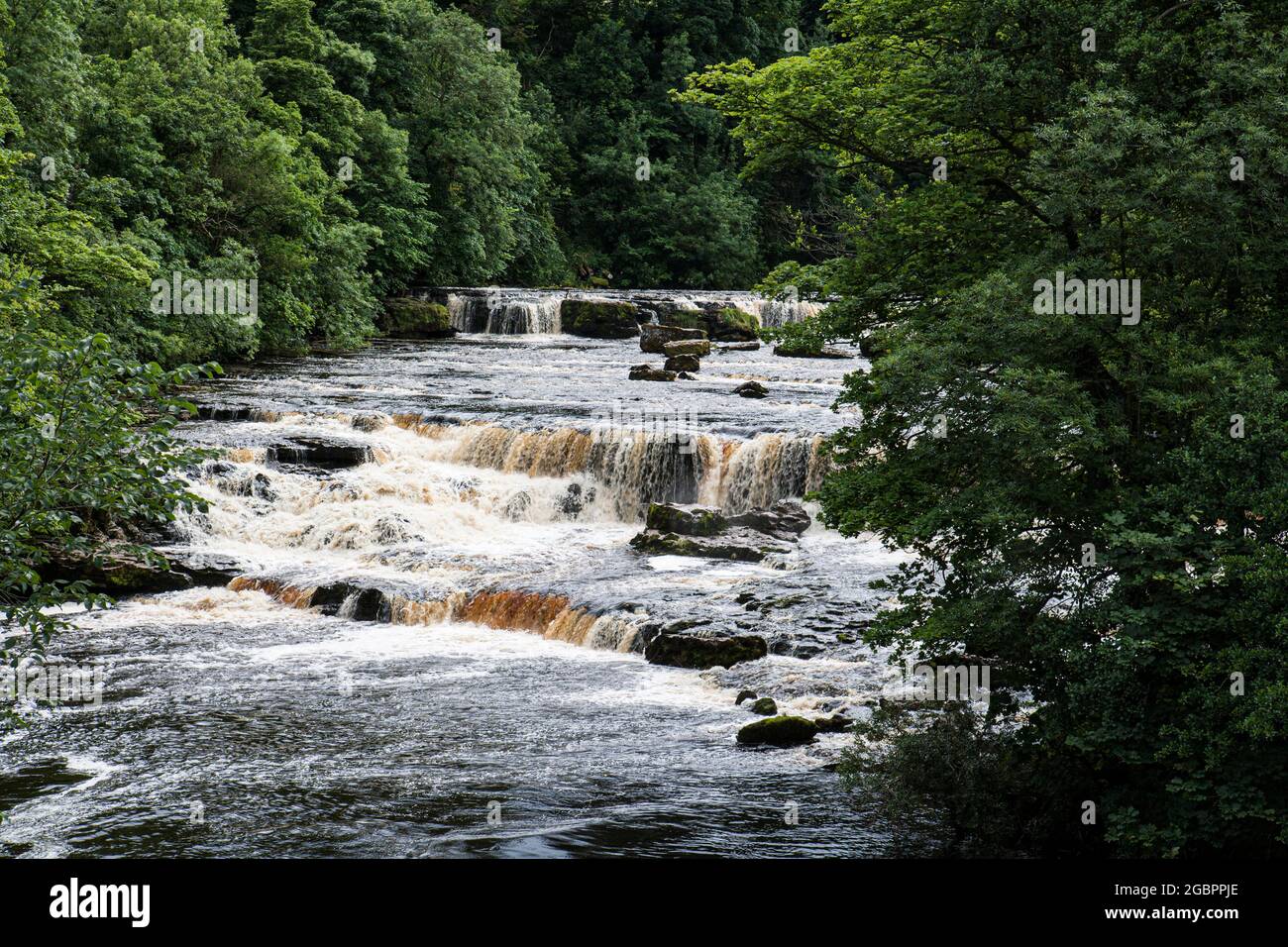 Der Wasserfall Aysgarth befindet sich im Yorkshire Moors National Park., Quelle:John Fairclough / Avalon Stockfoto