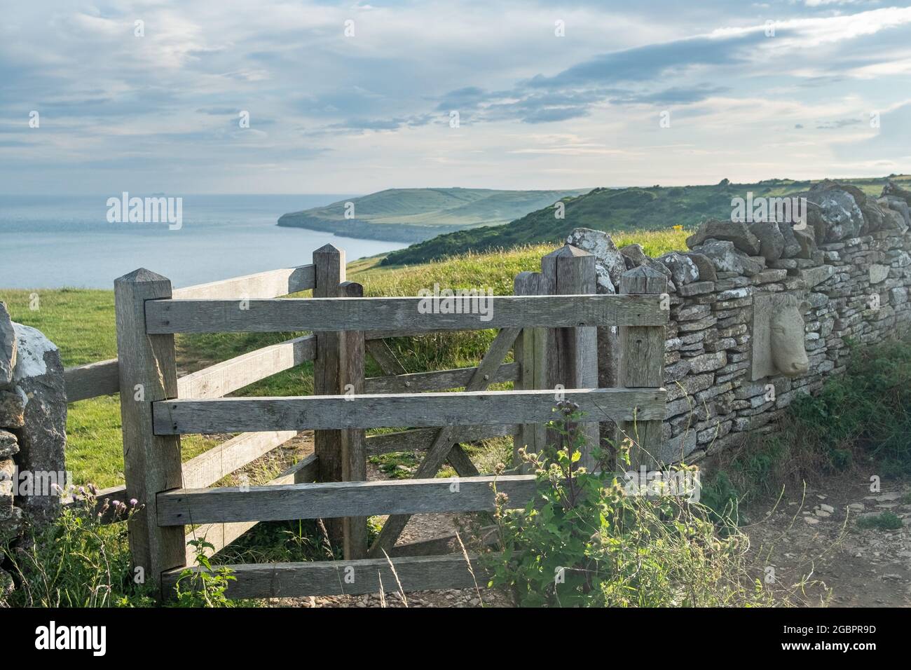 Dorset - Blick vom Coastal Path entlang der Jurassic Coast in der Nähe von Swanage Stockfoto