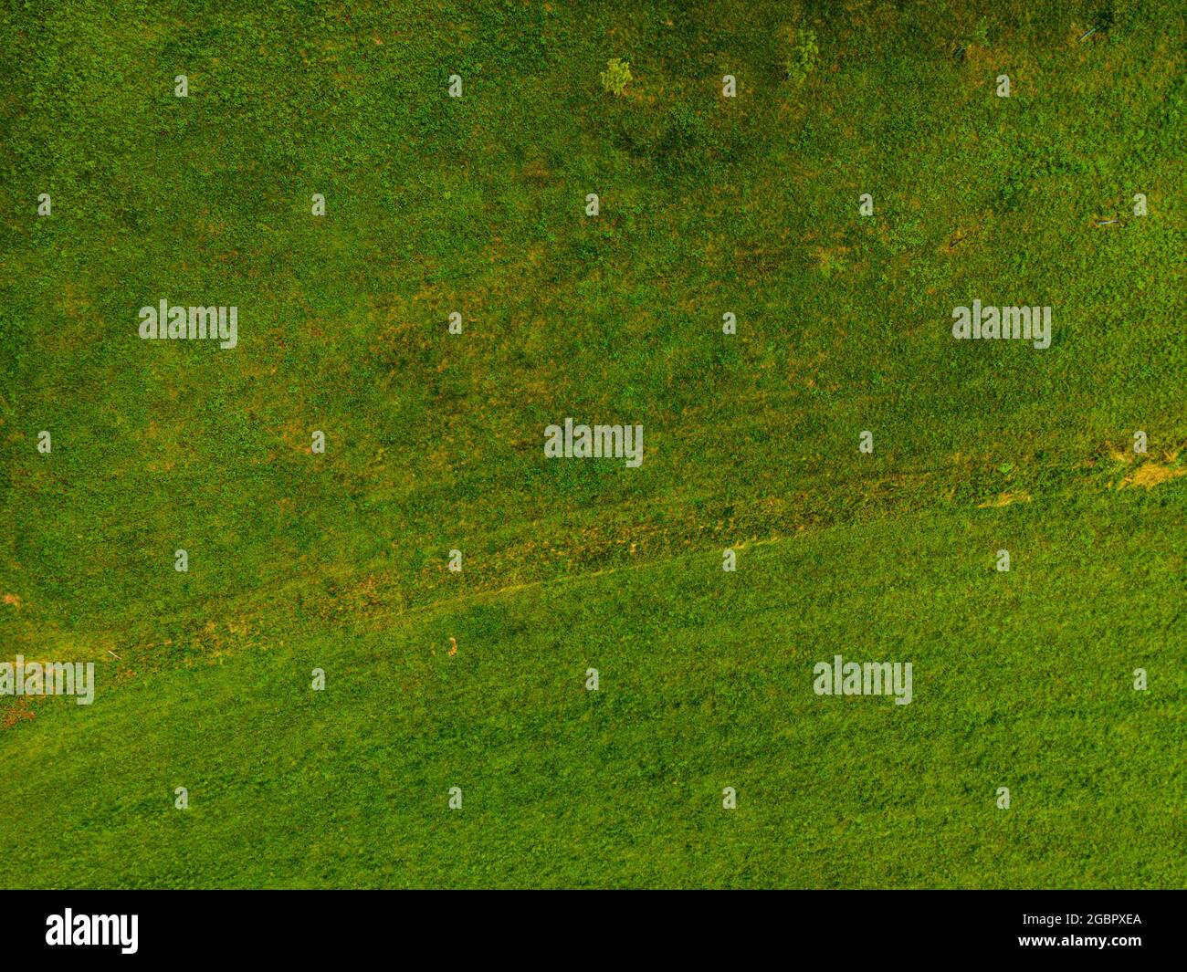 Hintergrund von Gras und Weide von oben mit einer Drohne geschossen. Hintergrund mit Kopierbereich. Stockfoto
