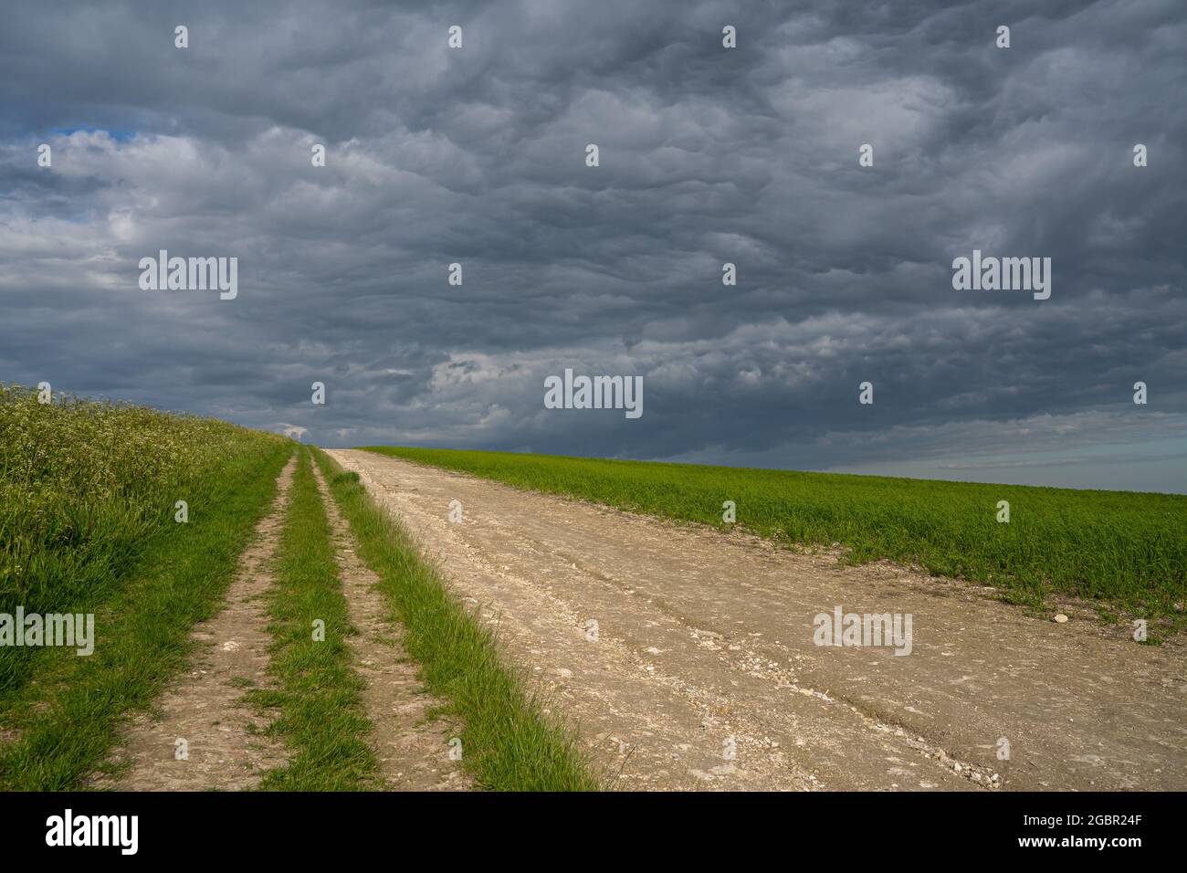 Pfad, der in Richtung Trundle mit sehr stürmischen Wolken neben einem Erntefeld an den South Downs bei Chichester in West Sussex führt. Stockfoto