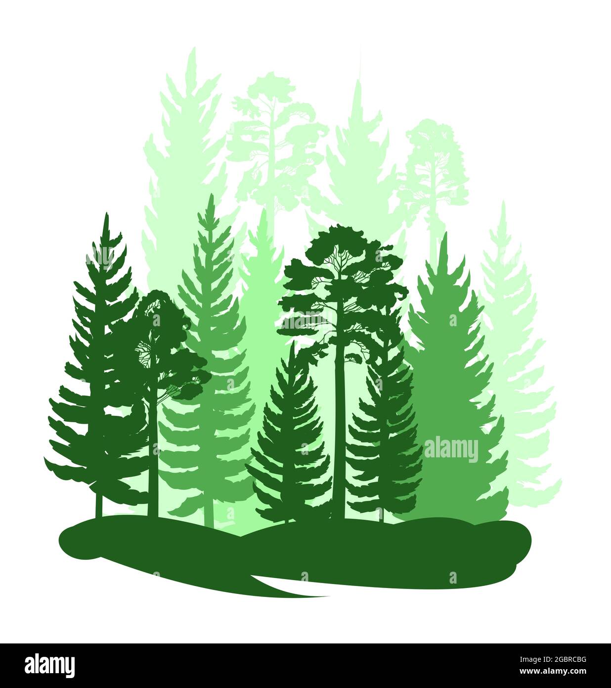 Wald Silhouette Szene. Landschaft mit Nadelbäumen. Wunderschöne grüne Aussicht. Kiefern- und Fichtenbäume. Sommer Natur. Isolierter Illustrationsvektor Stock Vektor