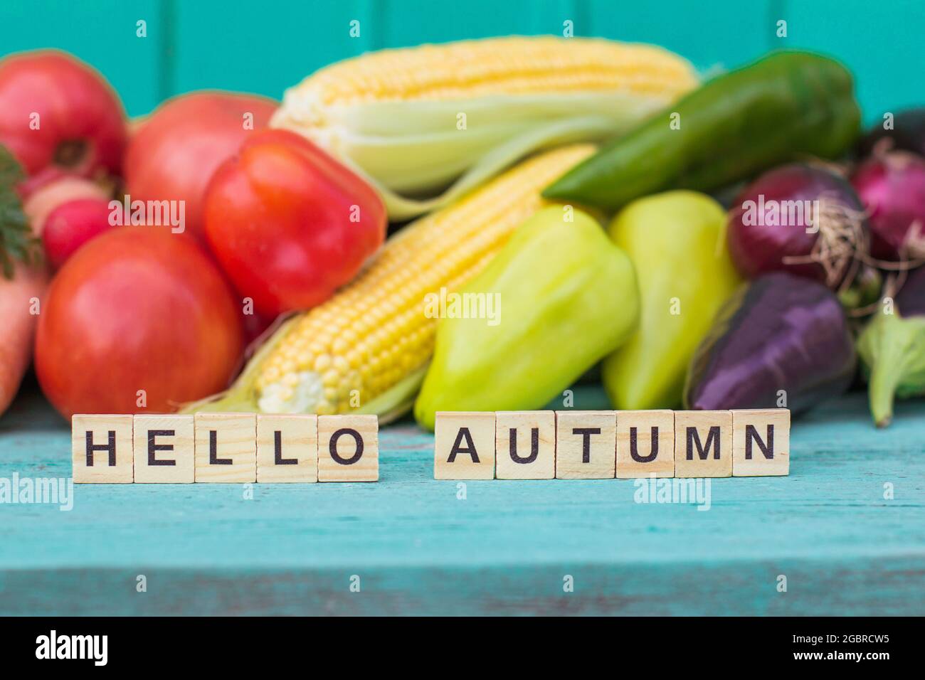 Die Inschrift Hallo Herbst auf einem hölzernen lackierten blauen Hintergrund Sortiment von frischem Bio-Gemüse, Ernte, Herbstsaison Stockfoto