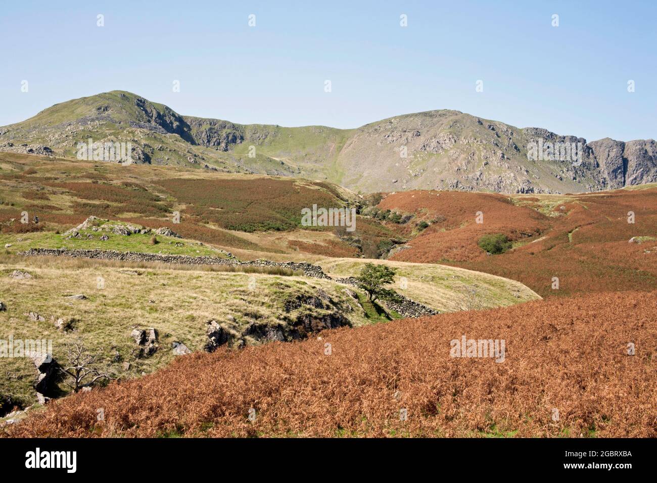 Dow Crag aus der Nähe von Torver High Common Coniston, Lake District Cumbria England Stockfoto