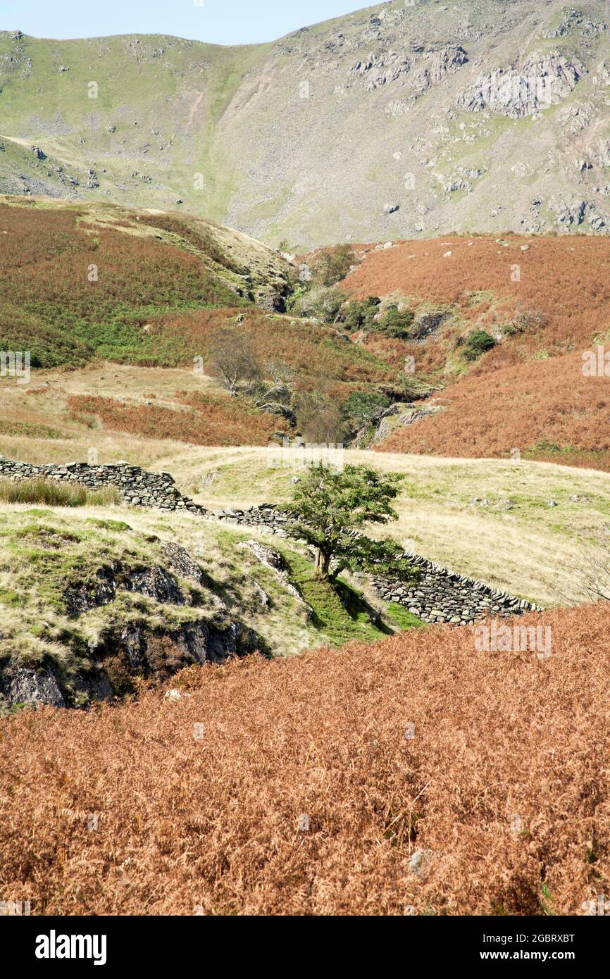 Torver Beck fließt unter Dow Crag und dem alten Mann von Coniston Coniston am Lake District Cumbria England Stockfoto