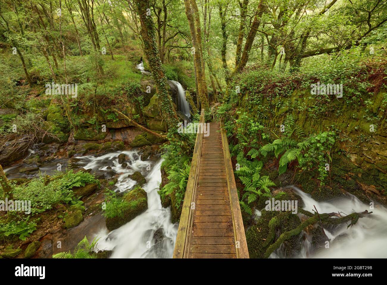 Hölzerne Fußgängerbrücken auf dem Fluss Arenteiro, in der Region Galicien, Spanien. Stockfoto