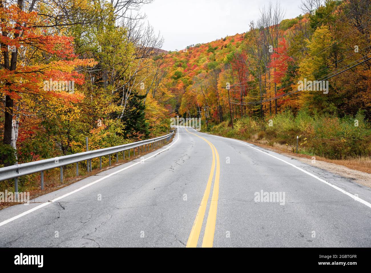Verlassene Bergstraße durch einen bunten Wald auf dem Höhepunkt der Herbstfärbung an einem bewölkten Herbsttag Stockfoto