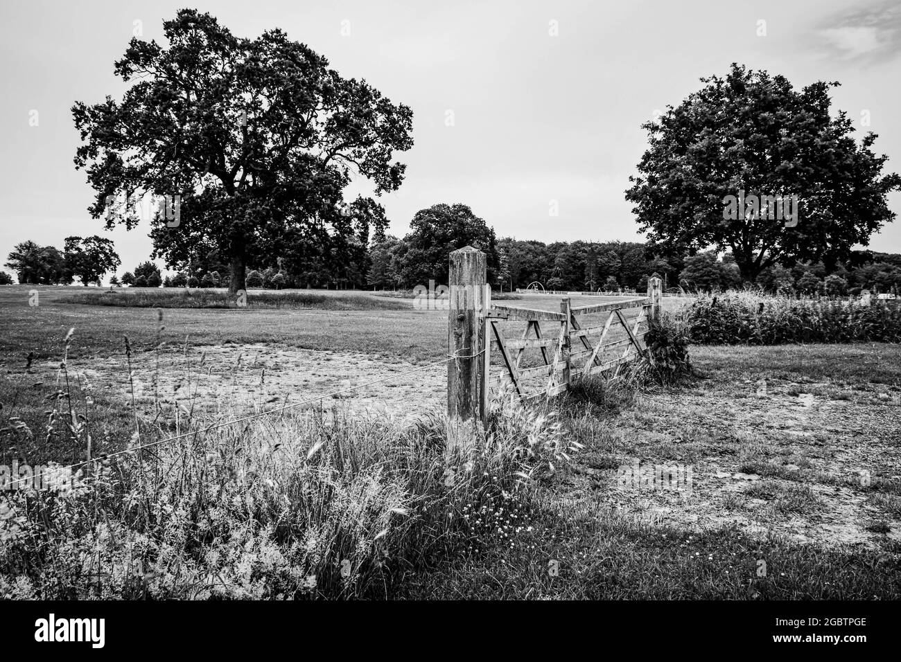 Tor und Bäume im Lydiard Park, Wiltshire Stockfoto