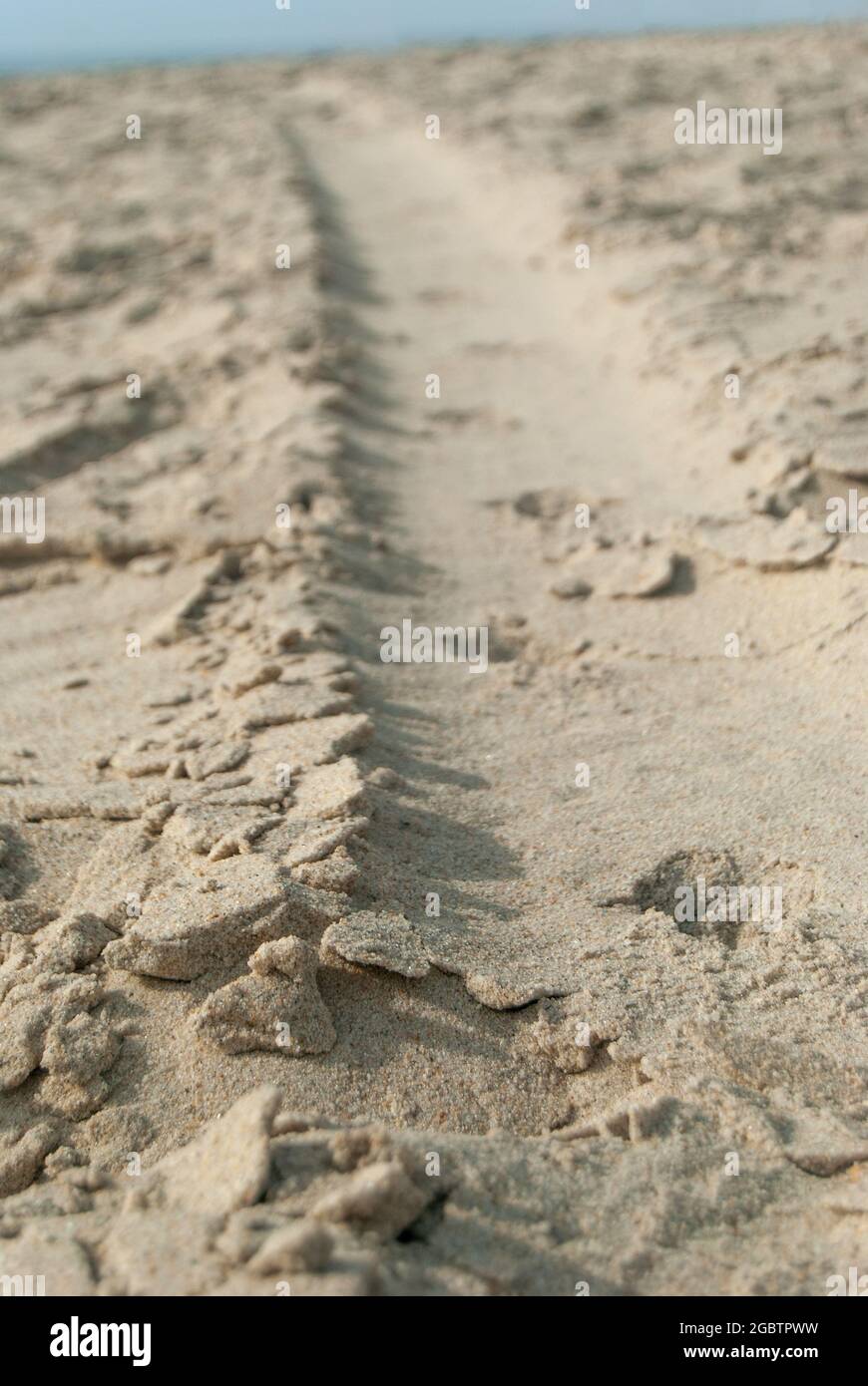 Schönes Muster von einer Reifenpanne im Sand am Strand - 10.06.2021, Aveiro, Portugal, Selective Focus. Stockfoto